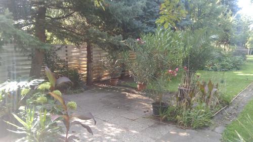 SUBASA GREEN GARDEN 6791 Szeged, 19 Üröm utca kép - 3