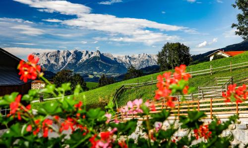 a field of flowers with mountains in the background at Hotel - Pension Ötzmooshof in Sankt Johann im Pongau