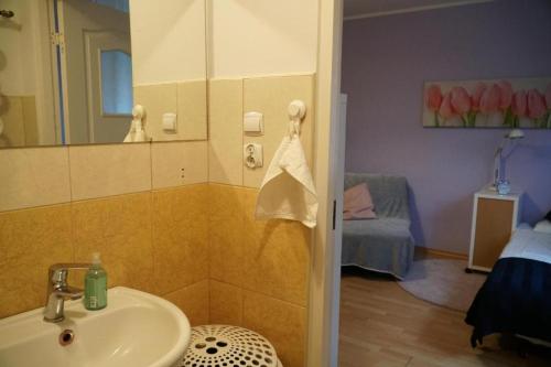 een badkamer met een wastafel en een spiegel bij Apartament Parterowy in Poznań