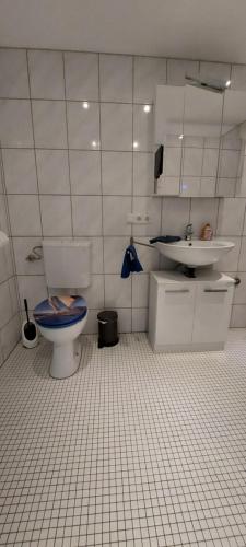 a bathroom with a toilet and a sink at Ferienwohnung/Monteurzimmer auf dem Bauernhof in Mörlenbach