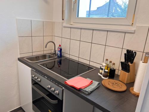 Il comprend une petite cuisine équipée d'un évier et d'une cuisinière. dans l'établissement LUX Business Apartments, à Weil am Rhein