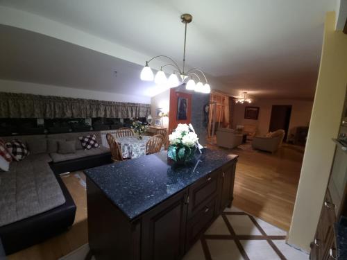 Χώρος καθιστικού στο Villa Diana Apartments