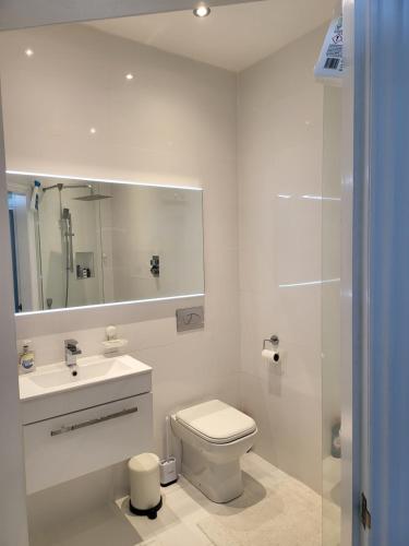 bagno con servizi igienici, lavandino e specchio di Langhouse Castle Bed and Breakfast a Inverkip