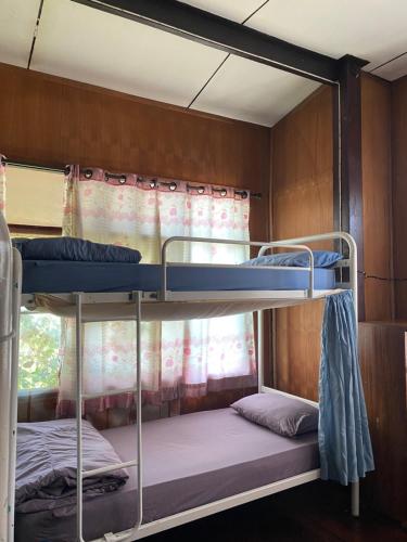 two bunk beds in a room with a window at topp stay hostel in Pai