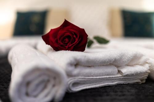 uma rosa vermelha em cima das toalhas em Diana Home em Fiumicino