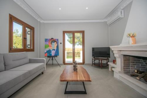 a living room with a couch and a fireplace at Adriana di Levante by "elite" in Ayios Kirikos