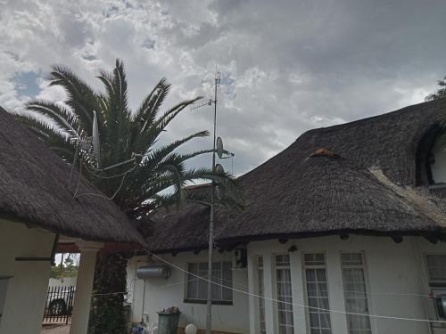 a house with a thatched roof and a palm tree at Thatch Haven Guesthouse in Mahikeng