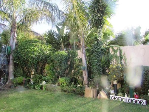 a yard with palm trees and a fence at Le Chef BnB in Mthatha