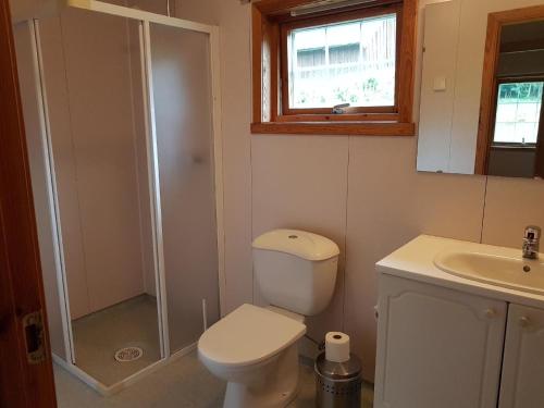 a bathroom with a toilet and a shower and a sink at Gepflegte Ferienhaus in der Region Ryfylke in Hebnes