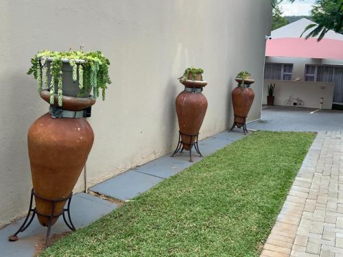 three large vases with plants in them leaning against a wall at Meraki Upmarket Guesthouse in Rustenburg
