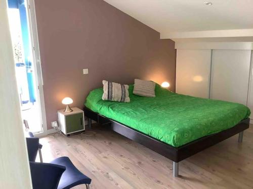 ein Schlafzimmer mit einem grünen Bett in einem Zimmer in der Unterkunft Bidart côte basque T3 250 mètres de la plage 3*** in Bidart