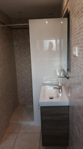 une salle de bain avec un lavabo et une douche avec un miroir dans l'établissement '' FLEUR DE SEL '', à Saint-Hilaire-de-Riez