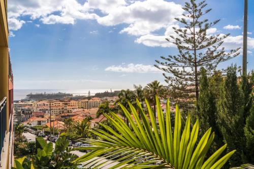 Blick auf eine Stadt mit einer Palme in der Unterkunft Comboio I by An Island Apart in Funchal