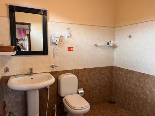 a bathroom with a toilet and a sink and a mirror at Lakeside Garden Bungalow 湖畔花园山居 in Nuwara Eliya
