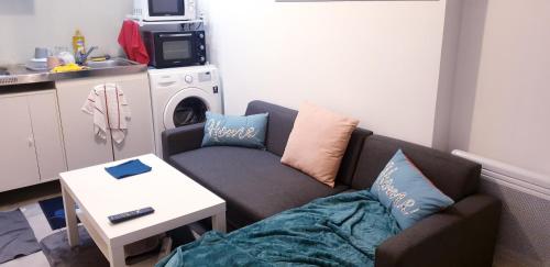 uma sala de estar com um sofá e uma máquina de lavar roupa em Magnifique F2 avec terrasse et parking, proche d'un parc et à 7 minutes à pieds de la Gare em Le Mée-sur-Seine