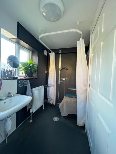 a bathroom with a sink and a shower at Pet friendly, disabled friendly cabin close to the humber and immingham in Goxhill