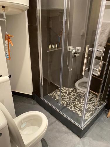 une salle de bain avec douche et toilettes dans l'établissement Rentomatique Studio Jean Médecin, à Nice