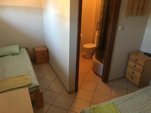 a bathroom with a toilet and a sink at Piątka noclegi- Łódź in Łódź