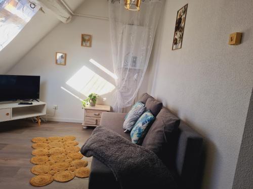 a living room with a couch and a tv at studio cosy in Vieux-Charmont