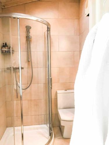 a bathroom with a shower and a toilet at Coastal Chic waterfront studio in Kinsale
