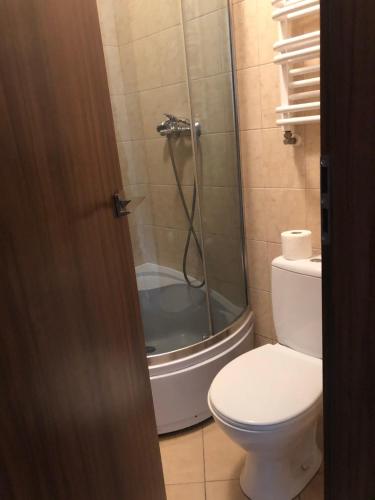a bathroom with a shower with a toilet and a tub at Piątka noclegi- Łódź in Łódź