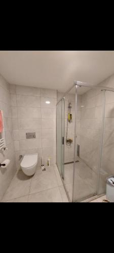 La salle de bains est pourvue d'une douche, de toilettes et d'un lavabo. dans l'établissement Lüks,Merkezi ,Ferah Oda, à Istanbul