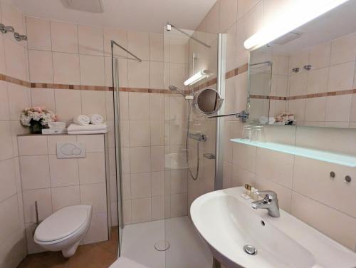 a bathroom with a toilet and a sink and a shower at Hotel Martin am Dom in Bamberg