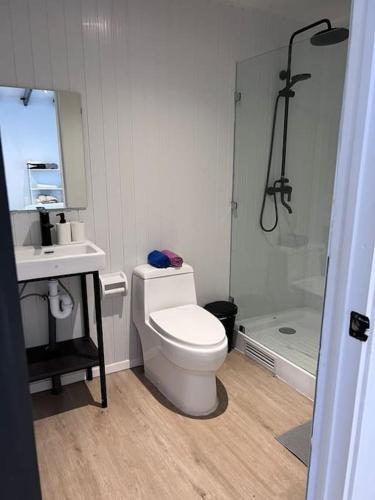 a bathroom with a toilet and a sink and a shower at Cabaña Hermosa Maitencillo in Valparaíso