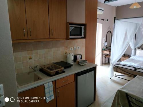 Kuchyň nebo kuchyňský kout v ubytování Savvas Studios