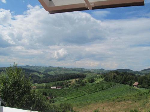 a view of a vineyard from the balcony of a house at Holiday Home Sonnenhaus in Svečina