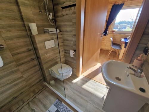een badkamer met een douche, een toilet en een wastafel bij Apartament z Tężnią Solankową, Sauną, Kominkiem LED i Śniadaniem nad Jeziorem Żywieckim in Zarzecze