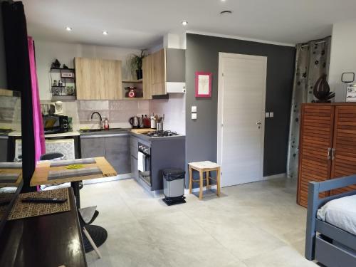 a kitchen and living room with a bed and a table at Studio Bouquet in Brouzet-lès-Alès