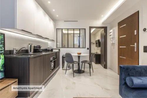 Résidence Topaze - Central - Luxurious - 50m Croisette Palais - LRA CANNES photo 17
