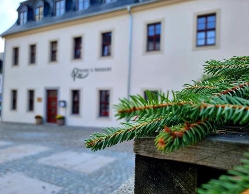 a christmas tree in front of a white building at Ferienwohnung Rio in Schneeberg