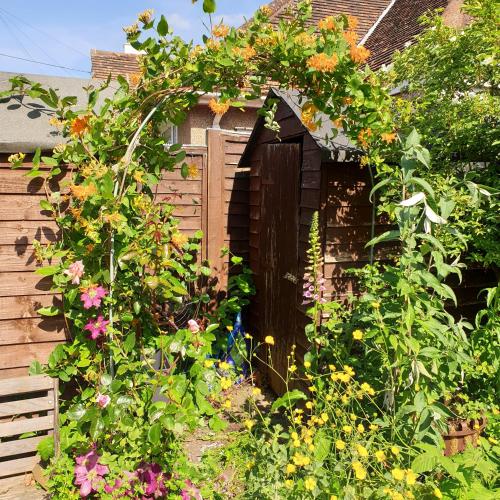 a garden with flowers growing around a wooden door at Phoenix Rising 2 in Glastonbury