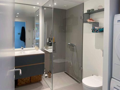 a bathroom with a shower and a sink and a toilet at Amazing sea view apartment in Aarhus
