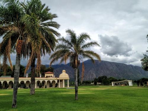 two palm trees in front of a building with a mountain in the background at Finca El Recreo in Cafayate