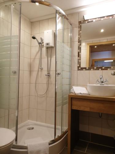 ein Bad mit einer Dusche und einem Waschbecken in der Unterkunft Gut Unterbrunn in Radstadt