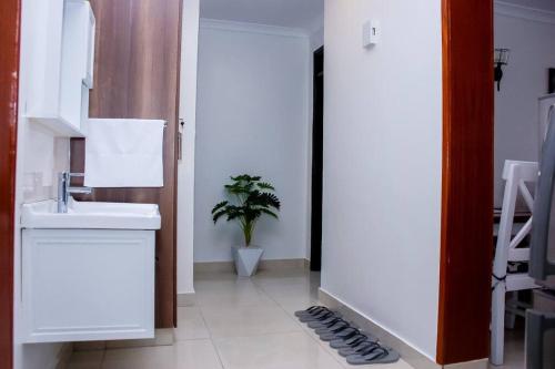 ein Badezimmer mit einem Waschbecken und einer Topfpflanze in der Unterkunft Nala House close to JKIA and SGR in Nairobi