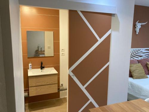 une salle de bain avec un lavabo et un miroir dans l'établissement STUDIO LE TERRACOTTA - topbnb Dijon, à Dijon