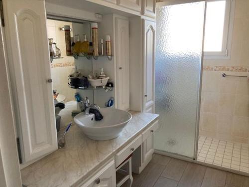 y baño blanco con lavabo y ducha. en Chambre double 2, en Ruaudin
