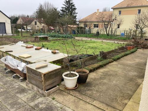 un jardín con varias macetas en un patio en Chambre double 2, en Ruaudin