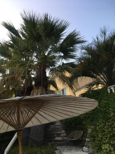 JARDIN du MIDI – Photos 3