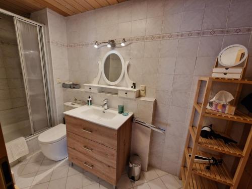 a bathroom with a sink and a toilet and a mirror at Rosy's House B&B in Bad Goisern