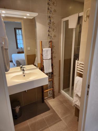 a bathroom with a sink and a shower and a mirror at Résidence Normandie in Conches-en-Ouche