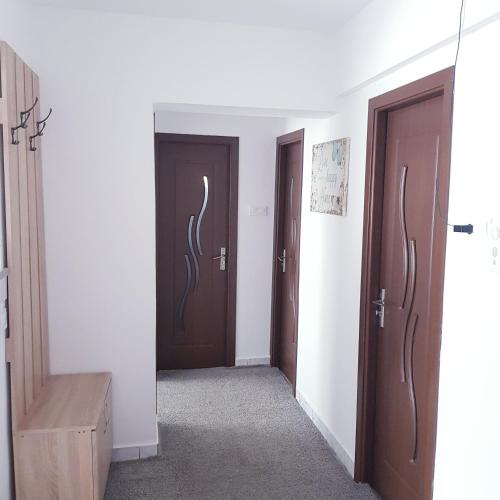 Foto de la galeria de Apartament Ana a Topliţa