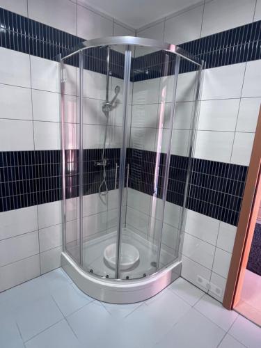 uma cabina de duche na casa de banho com azulejos pretos e brancos em Apartman Magnolia em Petrovina Turopoljska