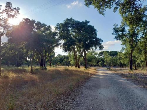 Φυσικό τοπίο κοντά σε αυτή η βίλα