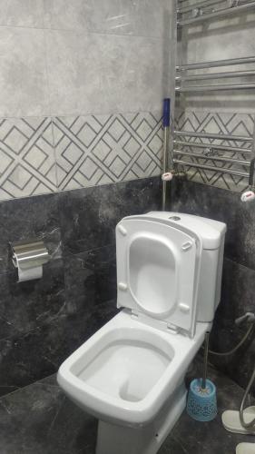 a bathroom with a white toilet in a stall at Ancient Lahij Guest House in Lahıc