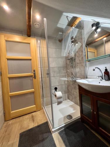 uma casa de banho com um chuveiro e um lavatório. em Pokoje gościnne 28 w skosie em Zawadka
